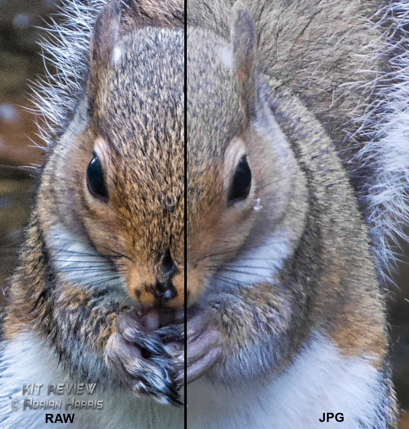 Click to view full size.