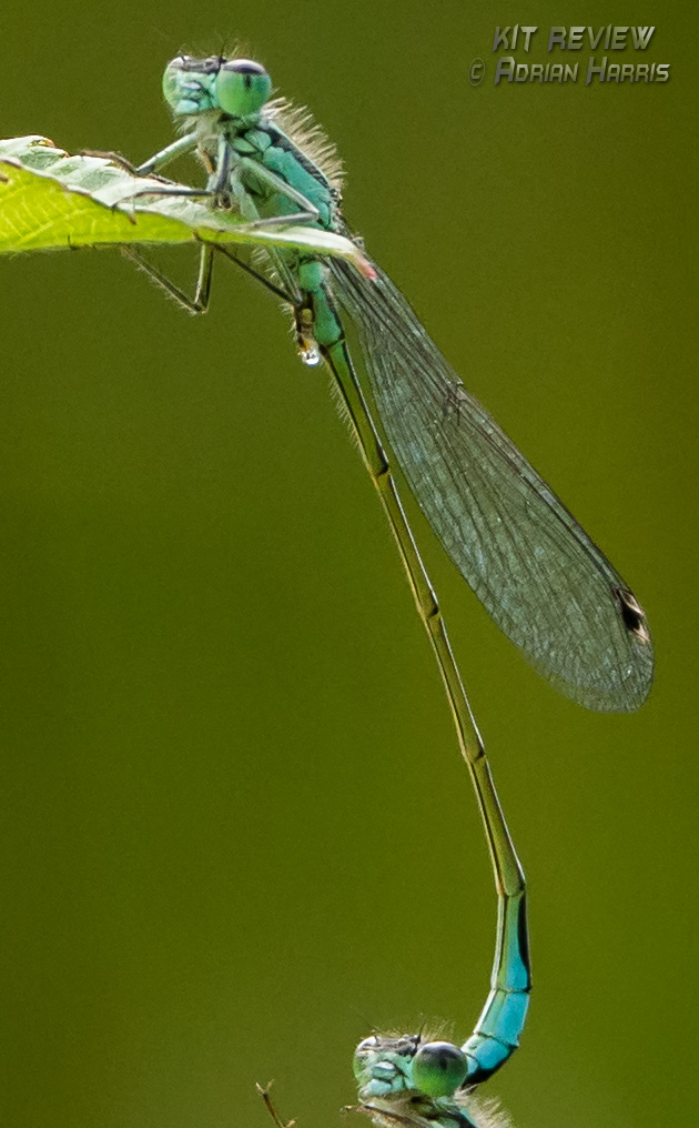 Click to view full size.
