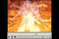Click for 1st-Time video clip (wmv).