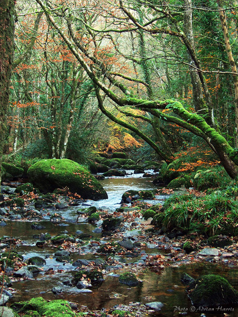 magical_teign_12nov07_7851_rs_v900te